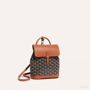 Goyard Alpin Mini Backpack Vesker Svarte Brune | GY-JZH2652