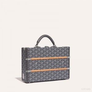 Goyard PALACE MM TRUNK BAG Håndveske Grå | GY-TIO6755