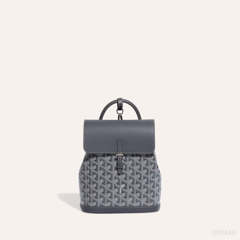 Goyard Alpin Mini Backpack Vesker Grå | GY-GLF1033