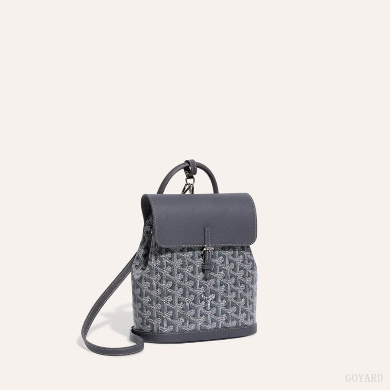 Goyard Alpin Mini Backpack Vesker Grå | GY-GLF1033