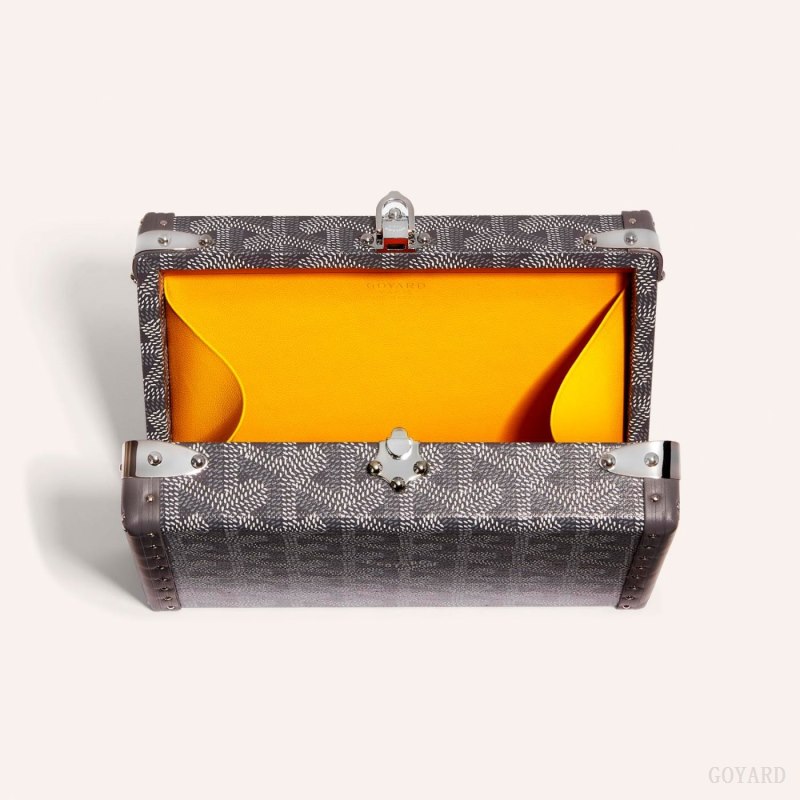 Goyard MINAUDIÈRE TRUNK BAG Mini Vesker Grå | GY-RUE5643