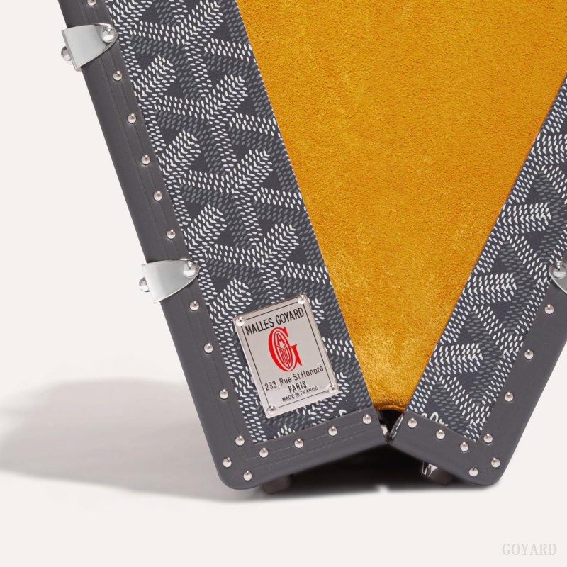 Goyard PALACE MM TRUNK BAG Håndveske Grå | GY-TIO6755