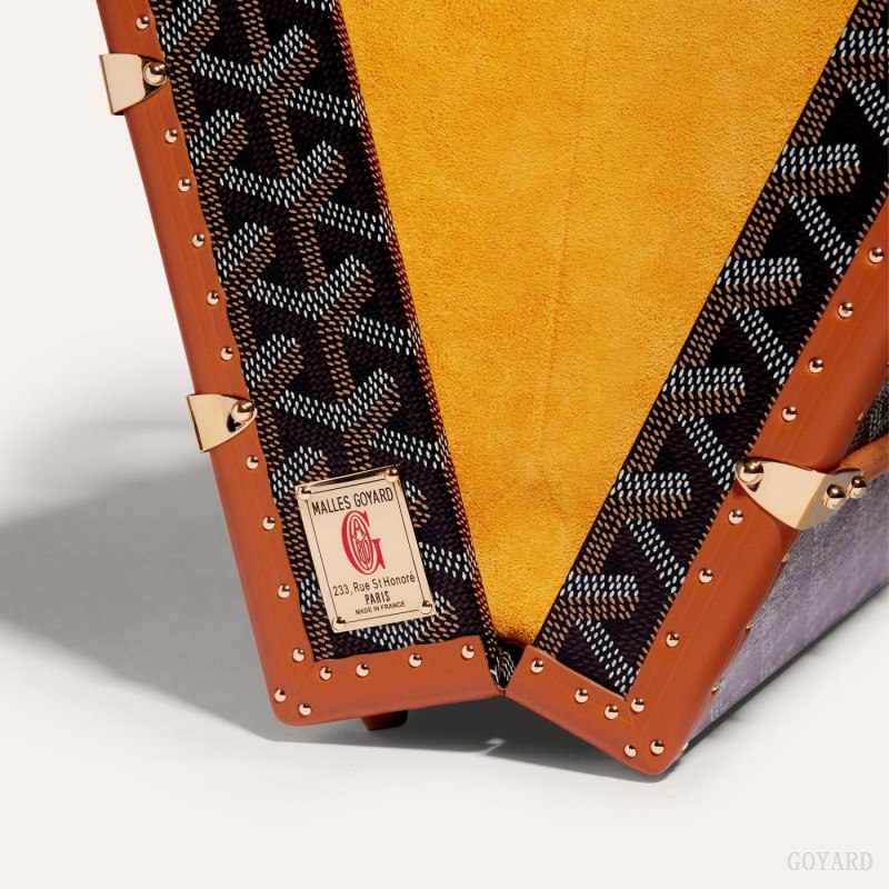 Goyard PALACE MM TRUNK BAG Håndveske Svarte Brune | GY-RLD1182